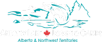 Andrew Lake Lodge logo