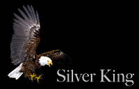 Silver King Lodge Logo