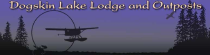 Dogskin Lake Lodge and Outposts logo