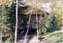 Guest cabin in the trees at Wellman Lake Lodge