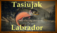 Tasiujak Lake Lodge logo