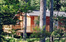 Crystal Beach Resort cabin in the woods