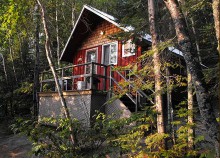 Garden Island Lodge guest cabin in woods