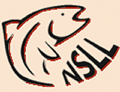 North Spirit Lake lodge logo