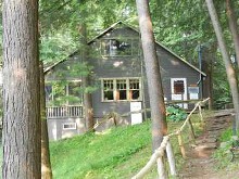 Cabin in the woods at Pine Grove Resort Cottages