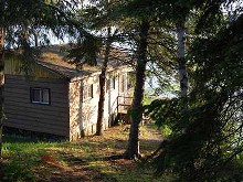 Lake front guest cabin in trees at South Shore Lodge