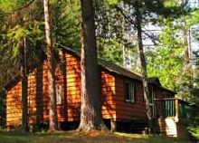 Guest cabin set in the woods at Temagami Shores Inn & Resort