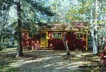 Guest cabin in the woods at Thunderbird Resort