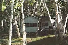 Guest cabin in the trees at Twin-J Hide-A-way