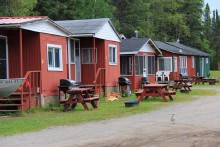 Housekeeping cabins all in a row at Wild Goose lake Resort