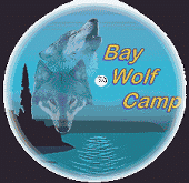 Bay Wolf Camp company logo