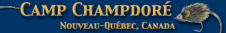 Camp Champdore logo