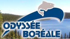 Odyssee Boreale logo
