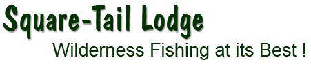 Square Tail Lodge logo