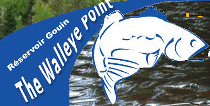The Walleye Point logo