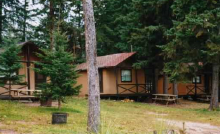 Guest cabins in the trees at Green Lake Lodge