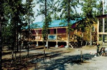 Guest cabin in trees at Hawkrock Wilderness Adventures
