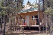 Guest cabin set in the trees at Lawrence Bay Lodge