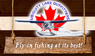 Ubiquity Lake Outfitters logo