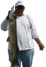   northern pike caught at Ontario fishing Lodge