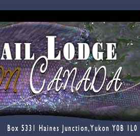 Dalton Trail Lodge logo