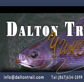 Dalton Trail Lodge logo